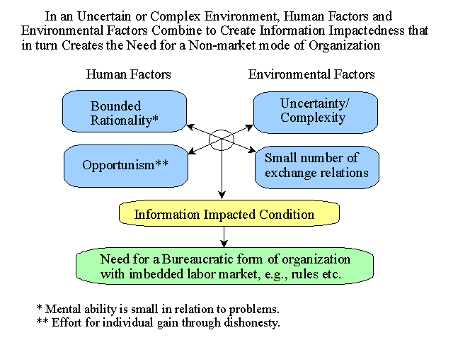 Mechanisms+of+labour