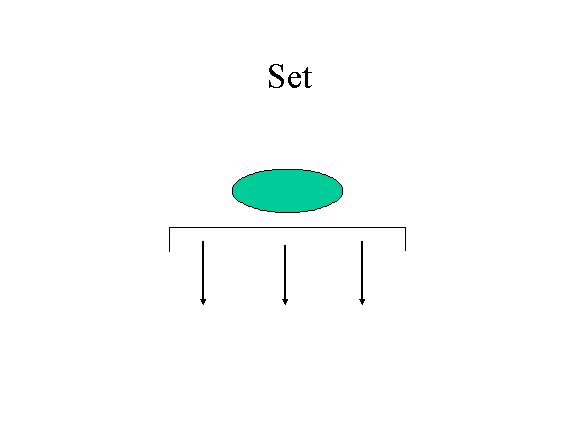 Set Organigraph