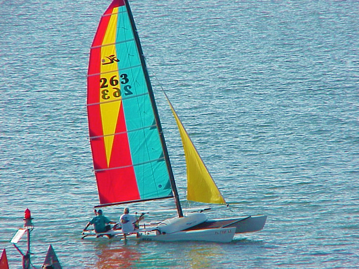 Sail Boat Boca Ciega Bay St. Petersburg Florida