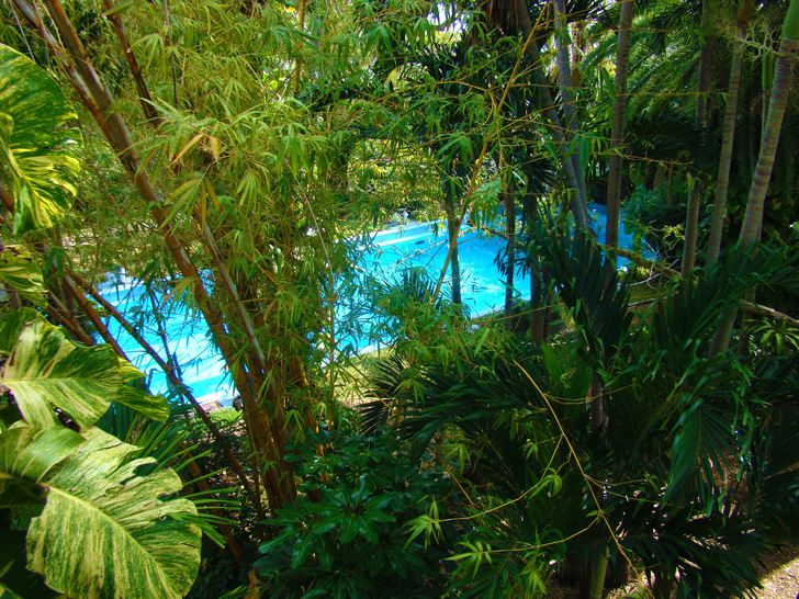 Hemingway's Pool Key West
