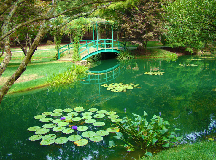 Monet Bridge and Lily Pond