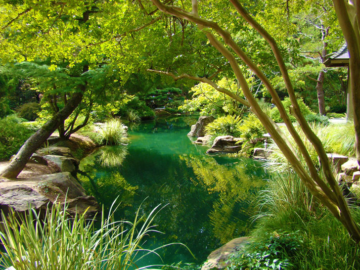 Japanes Gardens Pond