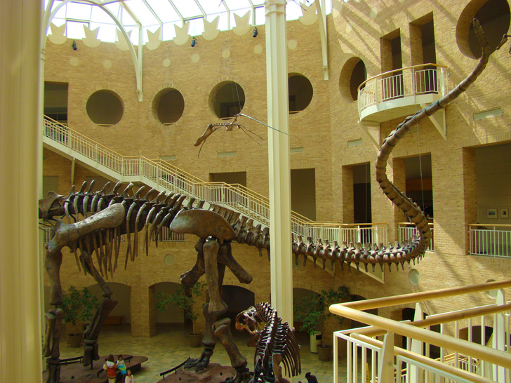 Fernbank Museum Atlanta Dinosaur