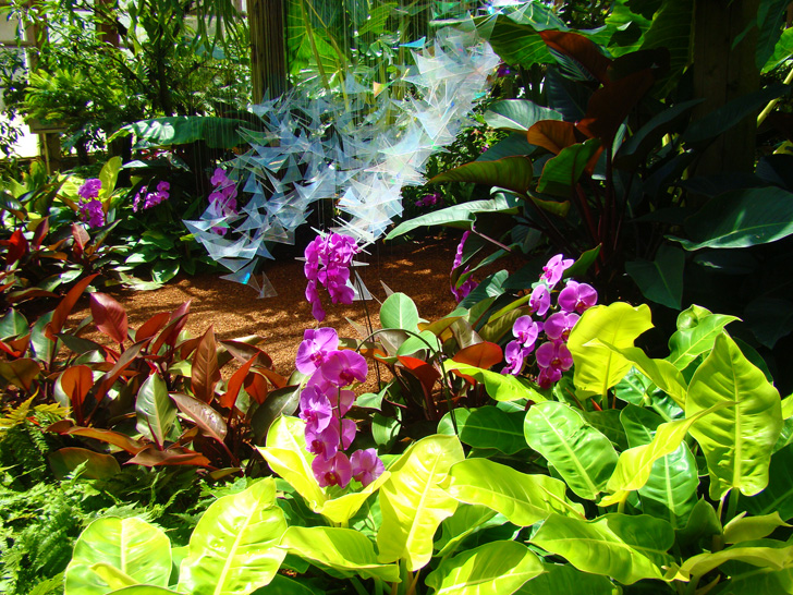 Atlanta Botanical Garden Kinetic Exhibit Orchid Center
