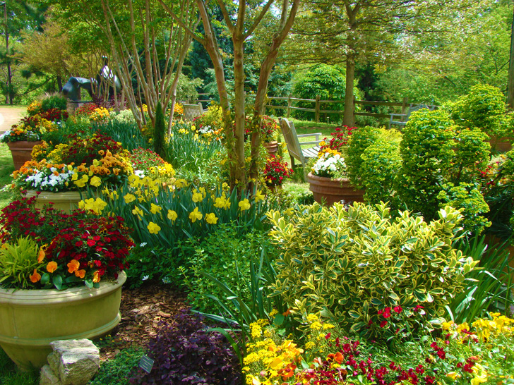 Atlanta Botanical Garden Spring Flowers
