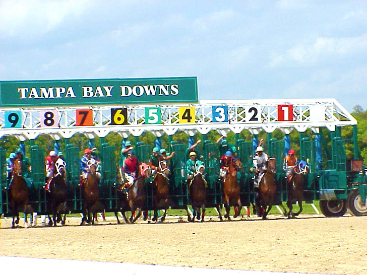 Out of the Gate Tampa Bay Downs