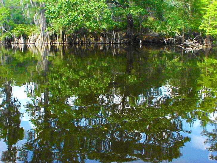 Reflections on the Hillsborough River Tampa Florida