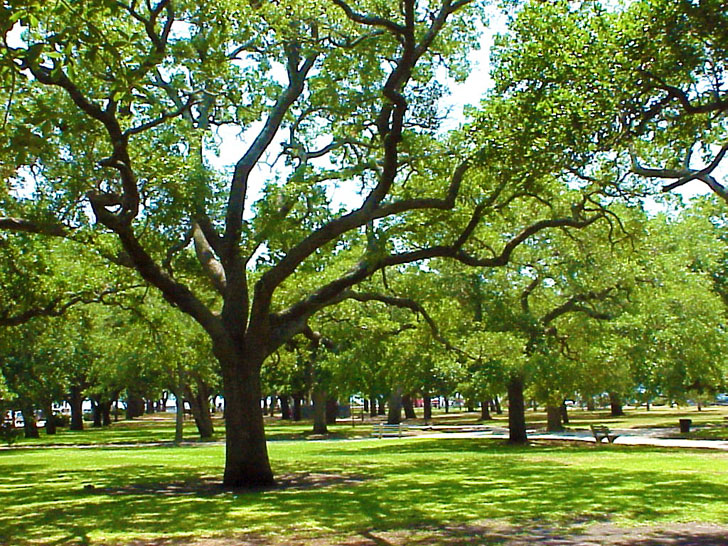Forsyth Park Savannah Georgia