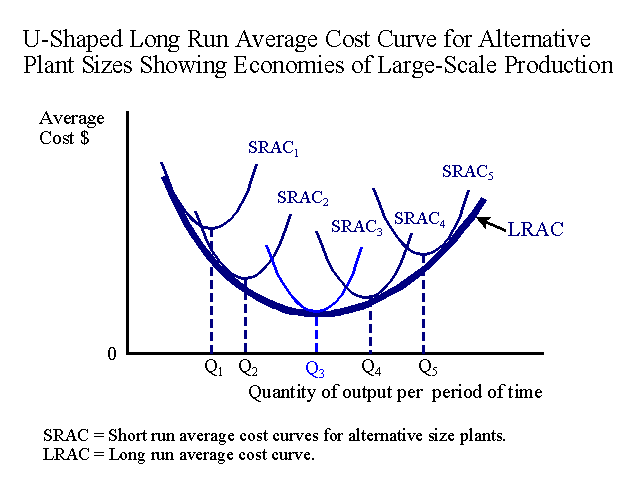 Long Run Average Cost Curve - Economies of Large-Scale Production