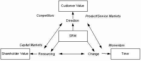 The Strategic Resource Management Process