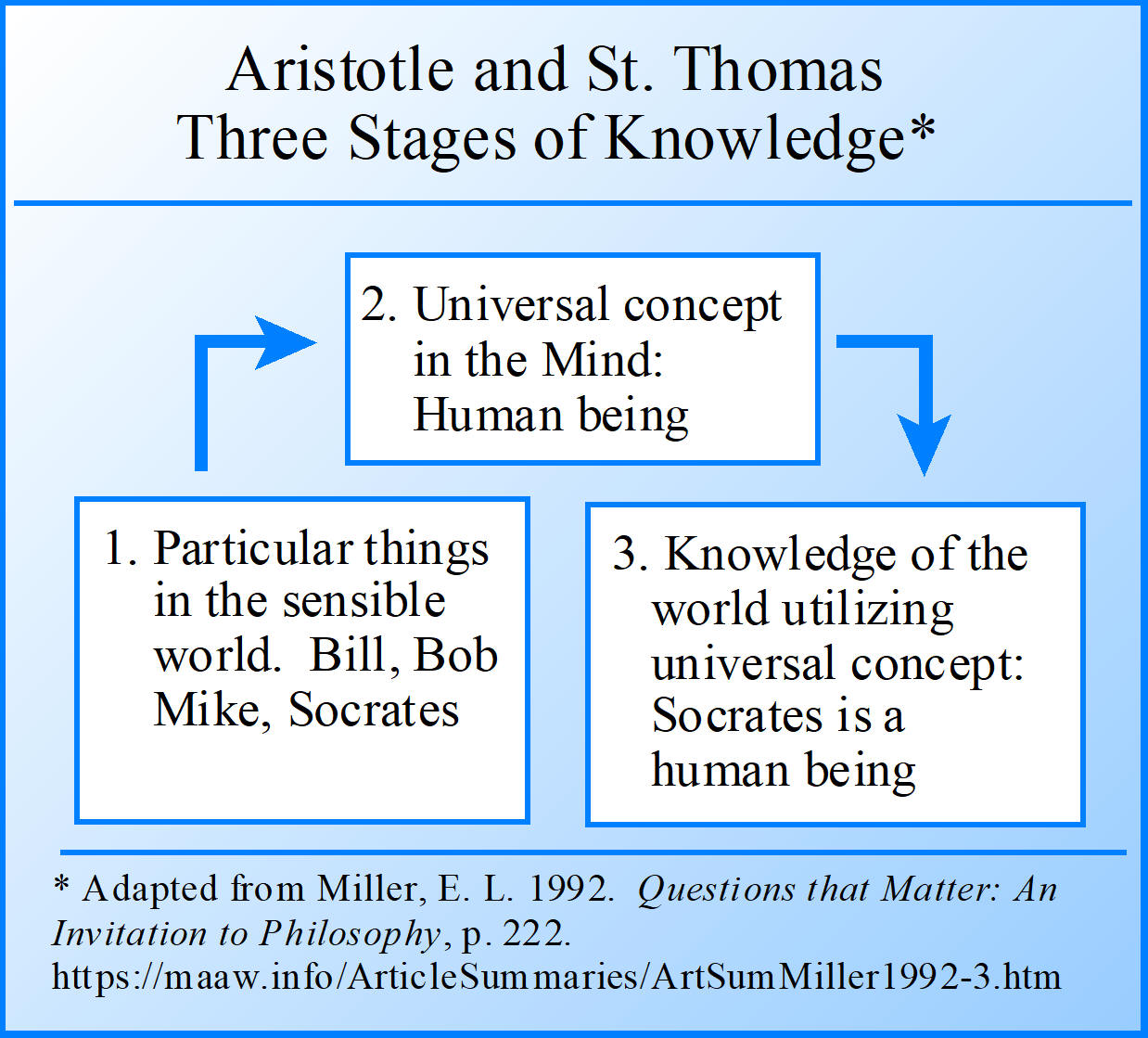 Three Stages of Knowledge according to Aristotle and St. Thomas