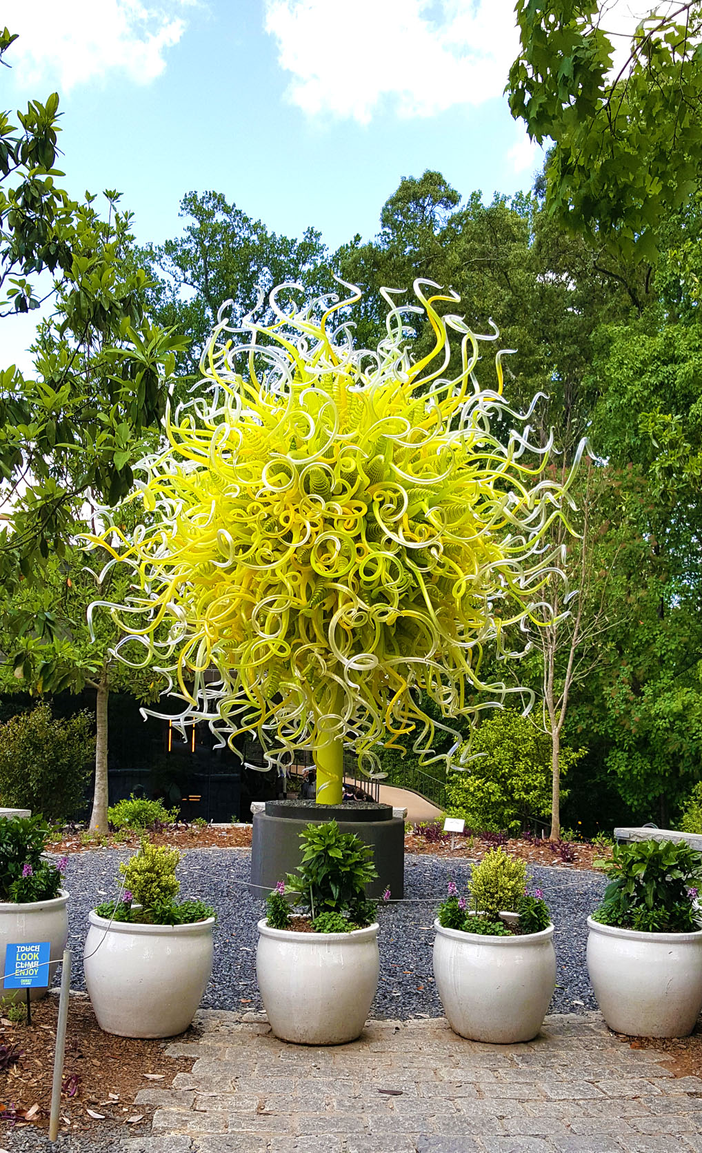 Chihuly Glass Atlanta Botanical Garden