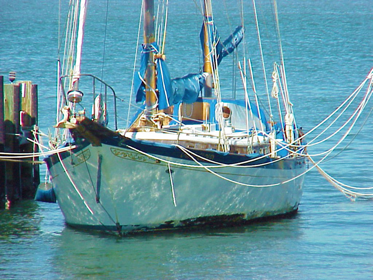 Sail Boat St. Petersburg Florida