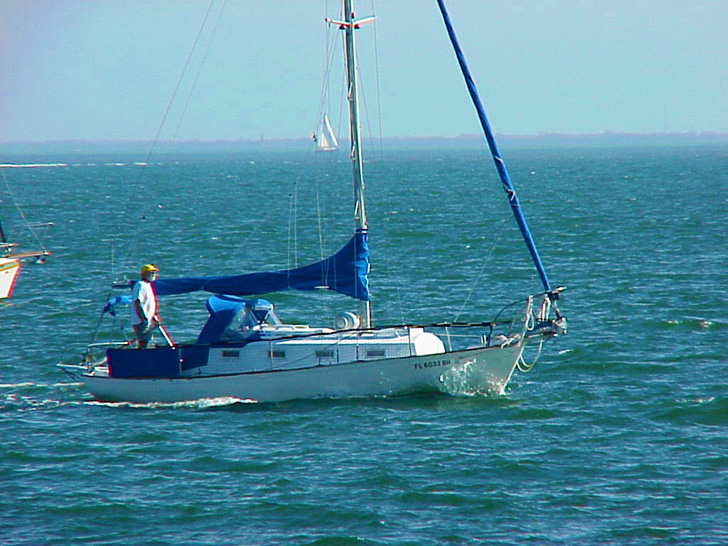 Sail Boat at Play St. Petersburg Florida
