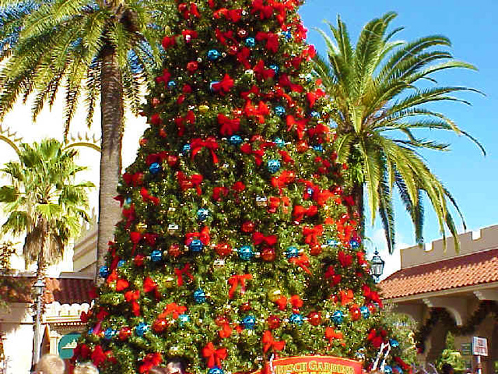 Christmas Busch Gardens Tampa