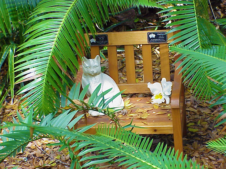 Cat Memorial Selby Gardens Sarasota Florida