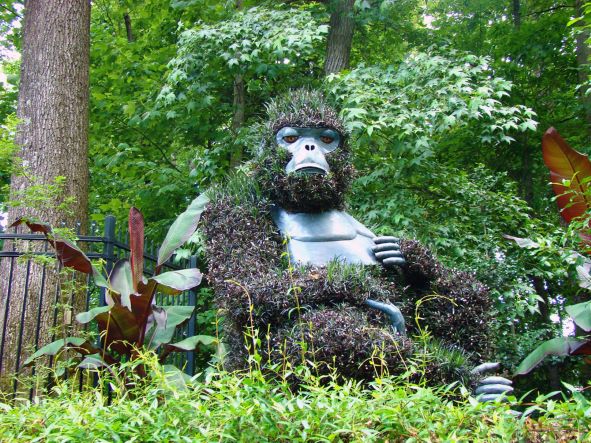 Ape Atlanta Botanical Garden