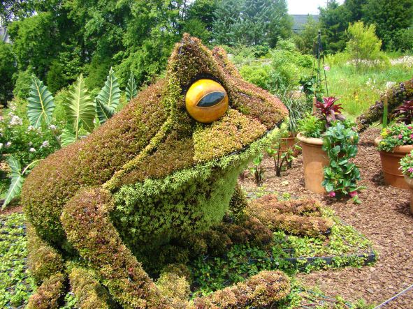 Frog Sculpture Atlanta Botanical Garden