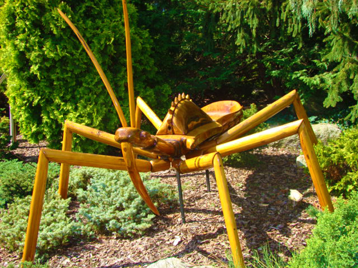 Atlanta Botanical Garden - Bugs
