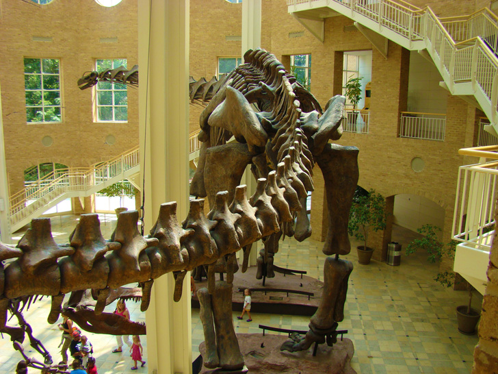 Fernbank Museum Atlanta Dinosaur