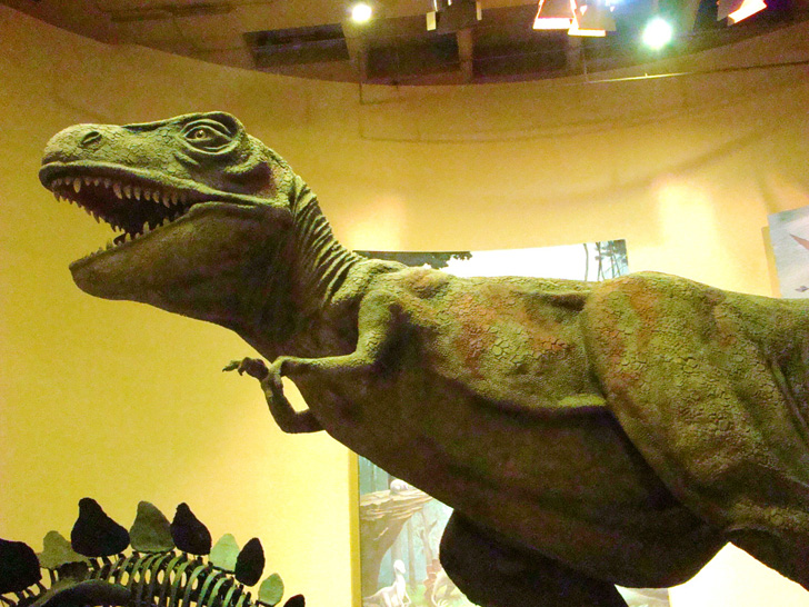 Fernbank Museum Atlanta Dinosaur T-Rex