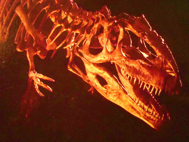 Fernbank Museum Atlanta Dinosaur T-Rex