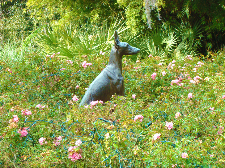 Brookgreen Garden Dog in Flowers
