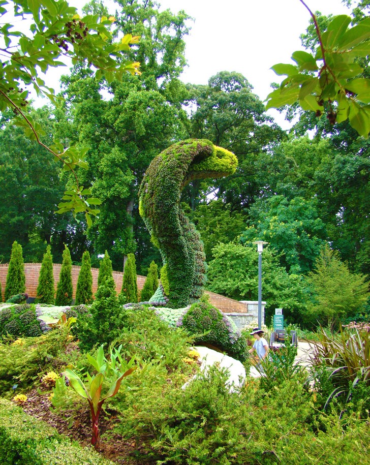 Atlanta Botanical Garden Cobra