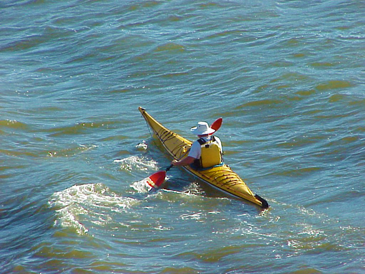 Kayak Boca Ciega Bay St. Petersburg Florida