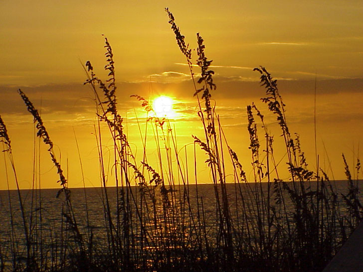 The Gulf at Sunset St. Petersburg Florida